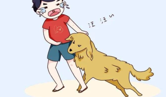 恶犬伤人屡见不鲜，那么多法条咋就管不住一条狗？