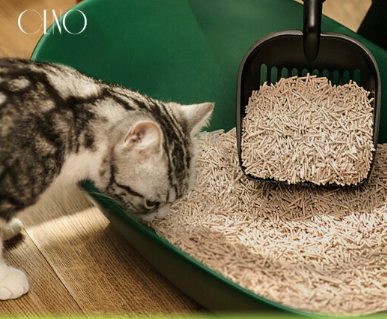 谷物猫砂哪个品牌好?CENO谷物猫砂好不好用 谷物猫砂哪个品牌好?CENO谷物猫砂好不好用