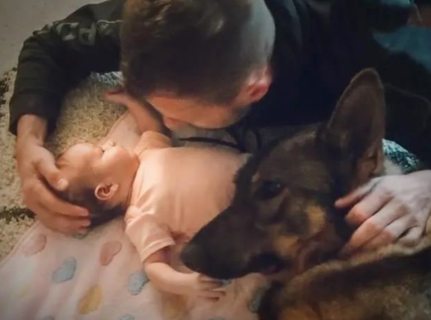警犬上班对训导员冷若冰霜,下班却把他的娃宠上天…“是谁酸了我不说!” 警犬上班对训导员冷若冰霜,下班却把他的娃宠上天…“是谁酸了我不说!”