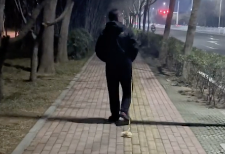 大叔遛狗时狗狗挣脱了牵引绳，他还在继续遛绳子，太粗心了吧！