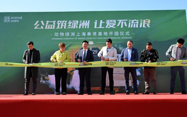 寻它科技获数千万元天使轮融资,旗下动物绿洲奉贤猫收容领养基地正式开园 寻它科技获数千万元天使轮融资,旗下动物绿洲奉贤猫收容领养基地正式开园