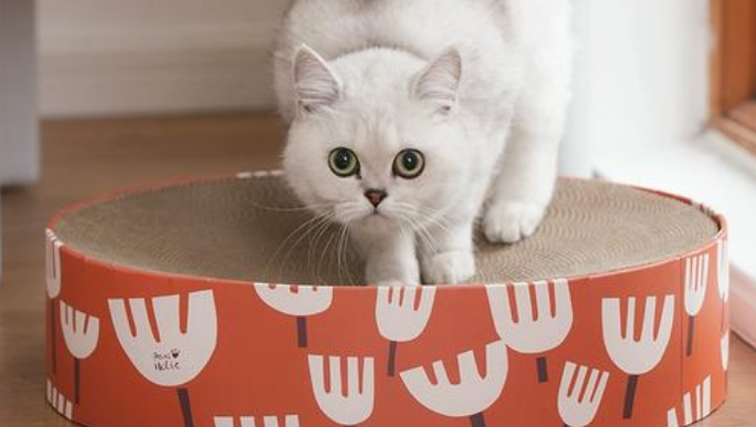 爪迷猫抓板：让猫咪享受舒适的磨爪体验