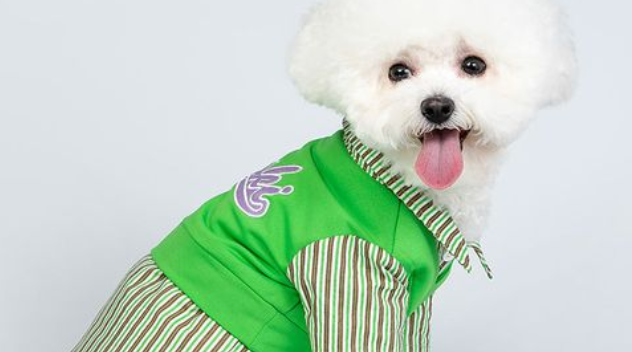 本文带大家了解mookipet宠物卫衣的优点！