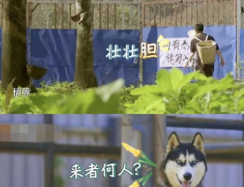 哈哈农夫看门“恶犬”,却遭王源的疯狂嘲讽,汪:我不要面子吗? 哈哈农夫看门“恶犬”,却遭王源的疯狂嘲讽,汪:我不要面子吗?