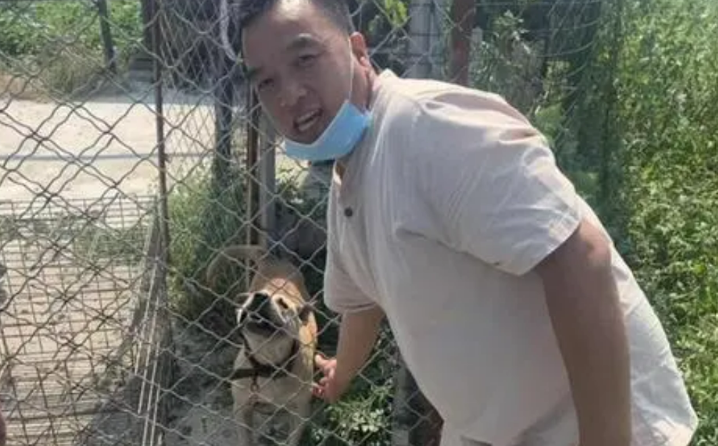 连续2年被盗 一只“广西土猎犬”将6名小偷送进看守所