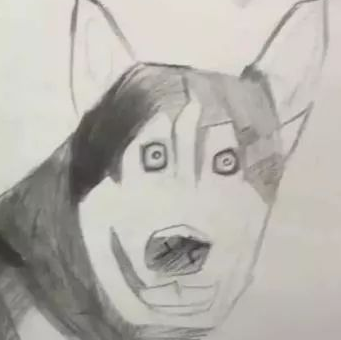 美术课老师教学生画哈士奇,一学生画出了“抽象派”,画风清奇 美术课老师教学生画哈士奇,一学生画出了“抽象派”,画风清奇