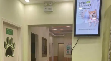 岚博宠物医院电话 岚博宠物医院电话