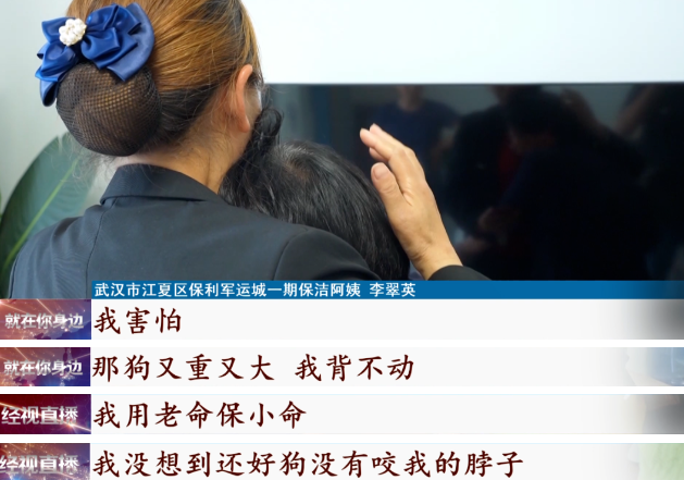 “用老命保小命”,她挺身而出感动全网!但是,狗绳咋就拴不住? “用老命保小命”,她挺身而出感动全网!但是,狗绳咋就拴不住?