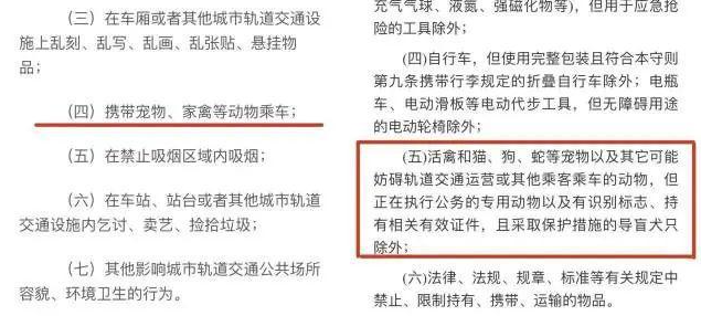 地铁禁带宠物!一乘客衣服内藏匿宠物狗进站被罚 地铁禁带宠物!一乘客衣服内藏匿宠物狗进站被罚
