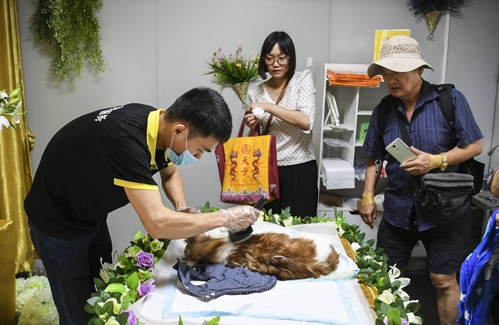 花费上千元为宠物办“身后事”，宠物殡葬业兴起