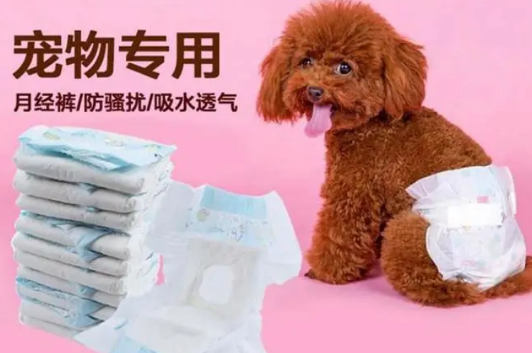 旺迪乐宠物纸尿裤的作用 旺迪乐宠物纸尿裤的作用