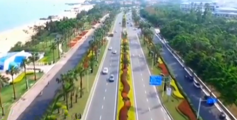 厦门圈出一块价值超百亿元的土地“养鸟”