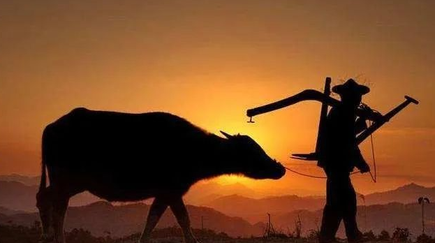 老人常说“再穷不卖看家狗,再富不宰耕地牛”,在现代社会还有意义吗?做人不能忘本! 老人常说“再穷不卖看家狗,再富不宰耕地牛”,在现代社会还有意义吗?做人不能忘本!