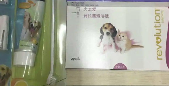 宠物医院体外驱虫多少钱 宠物医院体外驱虫多少钱