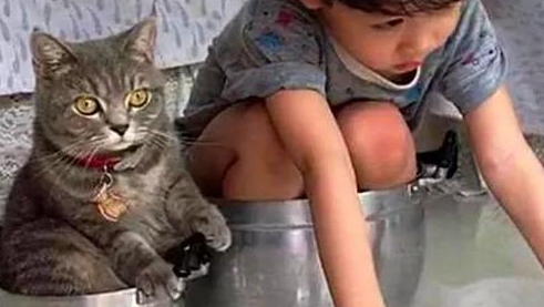 猫咪睡铁锅,家里的孩子也跟着学,猫咪看了一脸惊讶:你睡得下吗 猫咪睡铁锅,家里的孩子也跟着学,猫咪看了一脸惊讶:你睡得下吗
