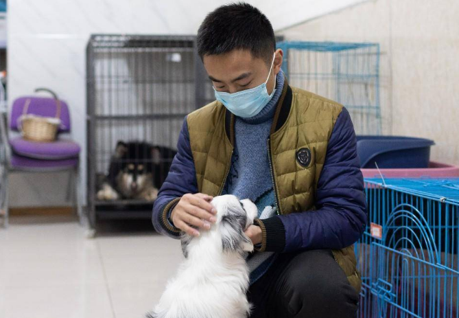 宠物服务消费逐渐拟人化 “它经济”背后的2000亿市场 宠物服务消费逐渐拟人化 “它经济”背后的2000亿市场