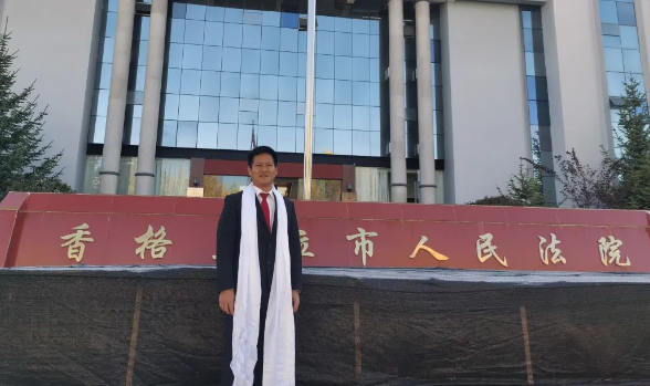 雪域高原上飞来一只哈尼“白鹇鸟” 雪域高原上飞来一只哈尼“白鹇鸟”