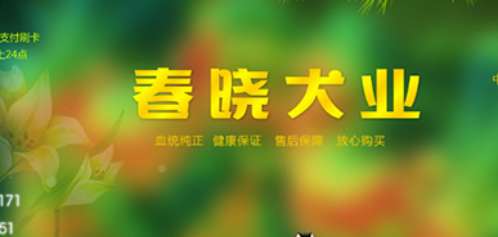 上海一狗舍被指频卖病狗:多个马甲网站营销百度称点1次1元 上海一狗舍被指频卖病狗:多个马甲网站营销百度称点1次1元