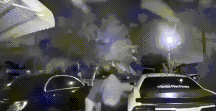 为抢两只小奶狗,美国女子和3名少年火拼,子弹横飞差点被爆头 为抢两只小奶狗,美国女子和3名少年火拼,子弹横飞差点被爆头