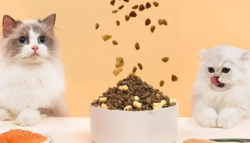 倔强嘴巴猫粮值得选吗?看这3方面就知道 倔强嘴巴猫粮值得选吗?看这3方面就知道
