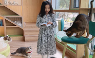 “猫粮”能做什么