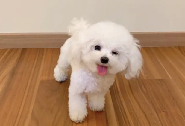 小红书赚钱怎么赚钱 小红书赚钱怎么赚钱