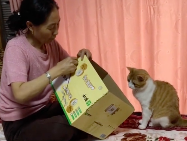 老妈攒两年猫毛给猫做被子,网友:亲生的都没这待遇… 老妈攒两年猫毛给猫做被子,网友:亲生的都没这待遇…