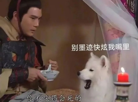 被TVB电视剧里面的哮天犬可爱晕了,这样的哮天犬能降妖除魔吗? 被TVB电视剧里面的哮天犬可爱晕了,这样的哮天犬能降妖除魔吗?