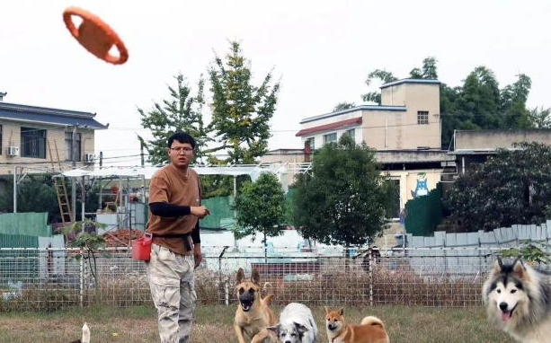 犬类行为调整师新职业走热 “它经济”助力人宠和谐 犬类行为调整师新职业走热 “它经济”助力人宠和谐