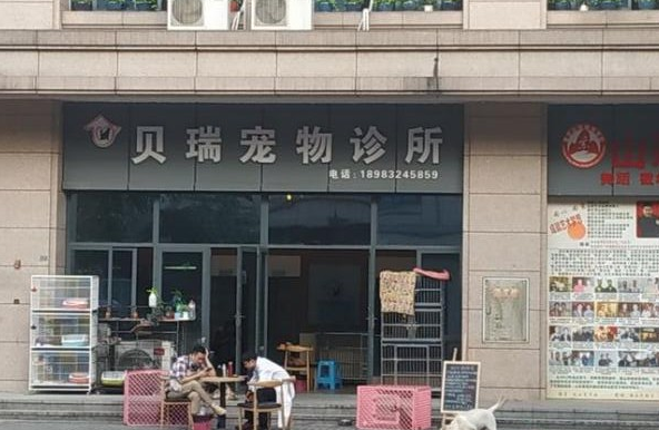 贝瑞宠物诊所:如何选择好的宠物诊所! 贝瑞宠物诊所:如何选择好的宠物诊所!