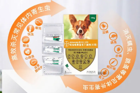 爱沃克体内外驱虫药好不好