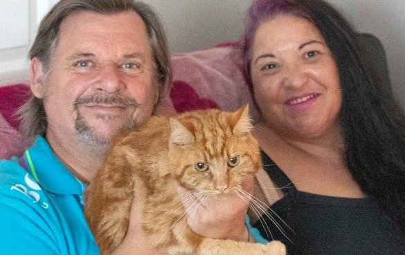 虎斑猫花7周时间走60多公里寻找前任主人 虎斑猫花7周时间走60多公里寻找前任主人