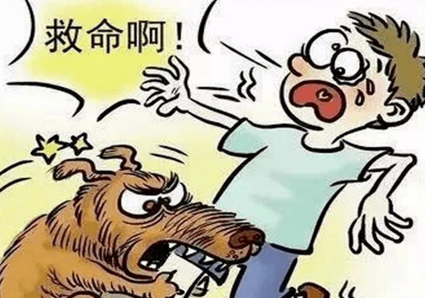 小孩逗小狗被咬,“调解+确认”1小时化解 小孩逗小狗被咬,“调解+确认”1小时化解