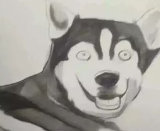 美术课老师教学生画哈士奇,一学生画出了“抽象派”,画风清奇 美术课老师教学生画哈士奇,一学生画出了“抽象派”,画风清奇