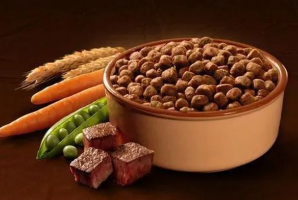 10年内中国成为全球最大宠物市场？国产替代席卷宠物经济赛道