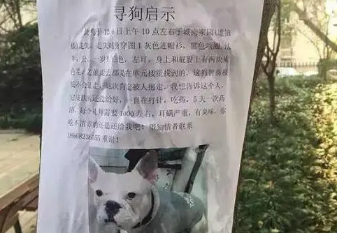 网友好心帮忙寻狗，上前一看，发现狗狗是被主人气得离家出走了！
