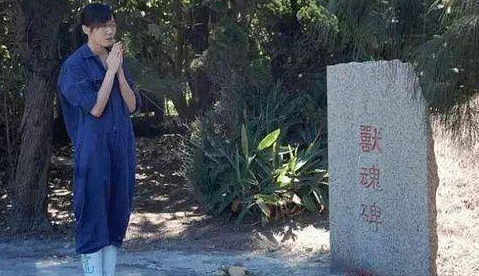 台湾女兽医给狗狗安乐死后,被爱狗人士网暴,最终用安乐死自尽 台湾女兽医给狗狗安乐死后,被爱狗人士网暴,最终用安乐死自尽