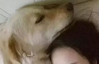 母狗给小奶狗喂奶，宝宝也想分一杯羹，挤掉小奶狗，金毛动作暖心