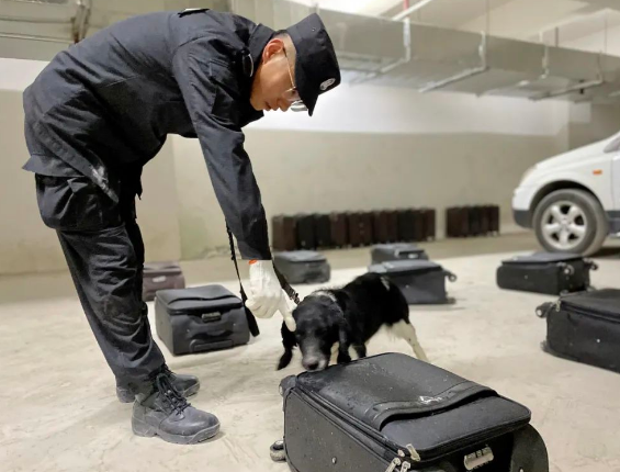 勤学苦练强实战 “犬”力以赴保平安