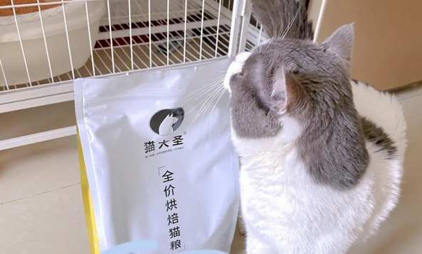 猫大圣猫粮品牌怎么样，速来了解一波