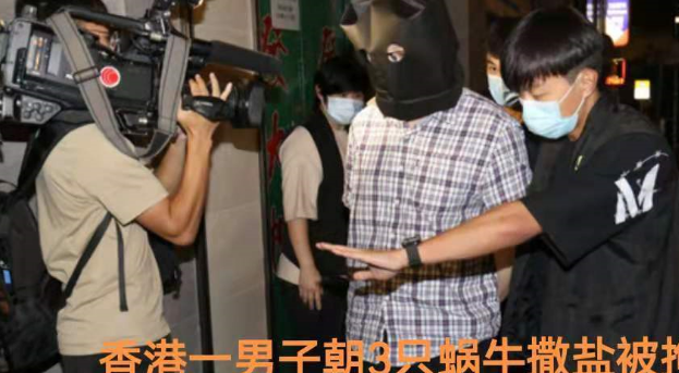 女子买了猫不想养,退猫不成现场把它摔死,听听律师怎么说 女子买了猫不想养,退猫不成现场把它摔死,听听律师怎么说