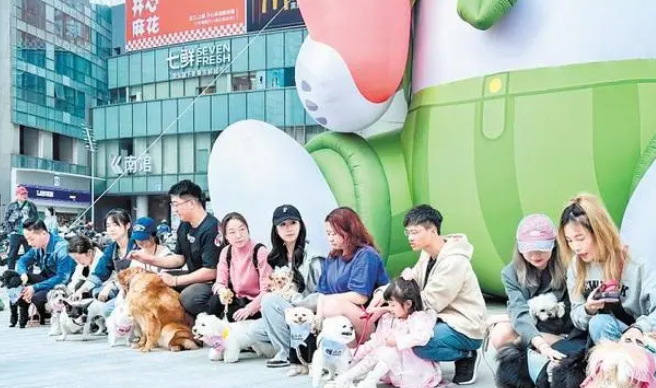 撸猫撸狗带火“它经济” 撸猫撸狗带火“它经济”