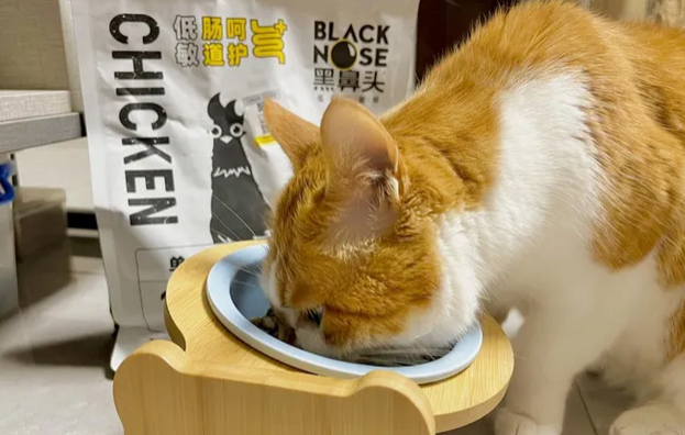 黑鼻头猫粮，专研低敏配方！
