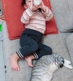 玩具被猫咪抢走,小主人崩溃大哭,猫咪无奈撒开手:别哭了,还你 玩具被猫咪抢走,小主人崩溃大哭,猫咪无奈撒开手:别哭了,还你