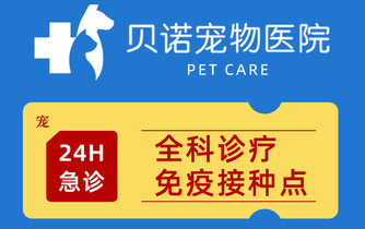 全面解析，贝诺宠物医院有哪些服务项目