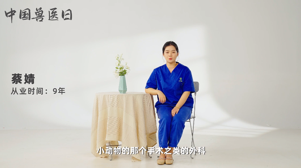 2023中国兽医日人物专访 | 蔡婧—宠物医生,命中注定的职业 2023中国兽医日人物专访 | 蔡婧—宠物医生,命中注定的职业