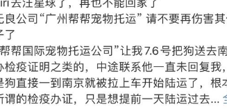“金毛Siri”去世原因曝光,陈乔恩、徐冬冬发声,托运方态度嚣张 “金毛Siri”去世原因曝光,陈乔恩、徐冬冬发声,托运方态度嚣张