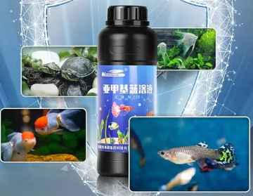 亚甲基蓝治疗鱼什么病 亚甲基蓝治疗鱼什么病