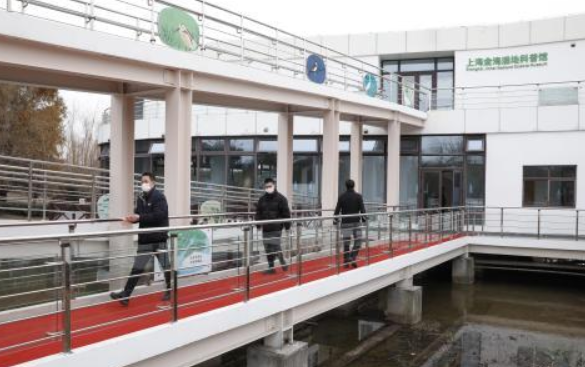 暗绿绣眼鸟、大山雀，上海这个湿地给多种野生动物提供栖息场所