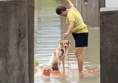 洪水来袭，奶奶死死抱住怀中的小狗不松手...一家人就要整整齐齐！